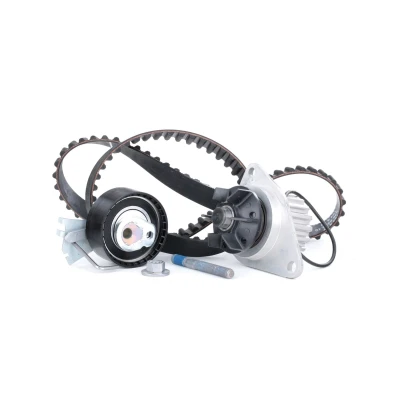 Billede af INA 530 0335 30 vandpumpe + Tandremssæt med PEUGEOT: 207 Hatchback, 206+ 206 CITROËN: C3 II, I Hatchback