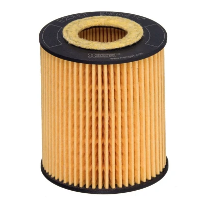 Billede af HENGST FILTER E20H01 D293 Oliefilter Filterindsats FORD: MONDEO 4 Turnier, S Max Mk1, 3 Kombi, MAZDA: Hatchback, 6 Stationcar, Hatchback