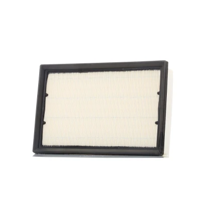 Billede af CHAMPION CAF100867P Luftfilter 58 185 274 Filterindsats LAND ROVER: Freelander 2 SUV