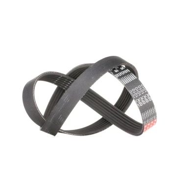 Billede af GATES 6PK1010 Kileribberem 1010 6 Polyester, EPDM (ethyl propylen dien gummi) FleetRunner Micro V PEUGEOT: 206 Hatchback, SW, HYUNDAI: Tucson
