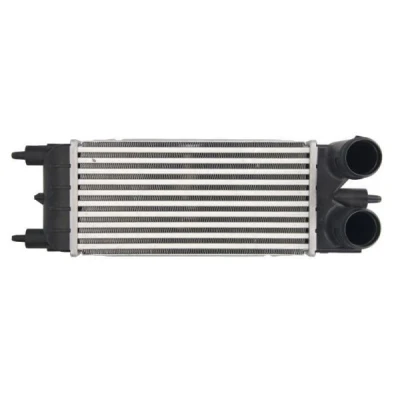 Billede af THERMOTEC DAC020TT Intercooler