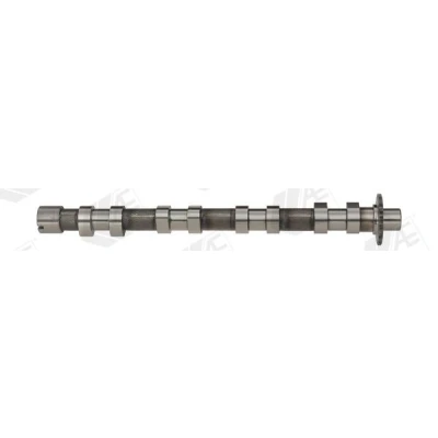 Billede af AE CAM748 Knastaksel Indtag FORD: MONDEO 4 Turnier, CITROËN: C4 I Grand Picasso