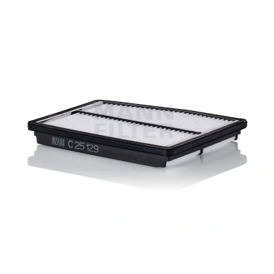 Billede af MANN FILTER C 25 129 Luftfilter 29 196 245 Filterindsats