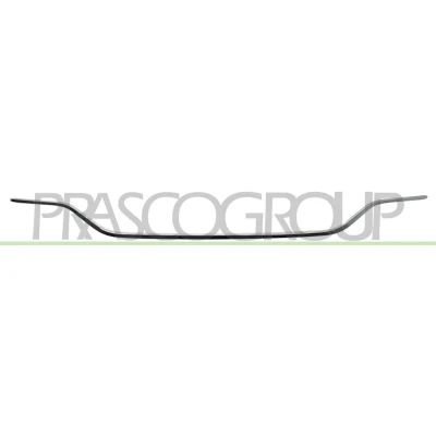 Billede af Pynte /beskyttelsesliste, kofanger PRASCO ME3331255