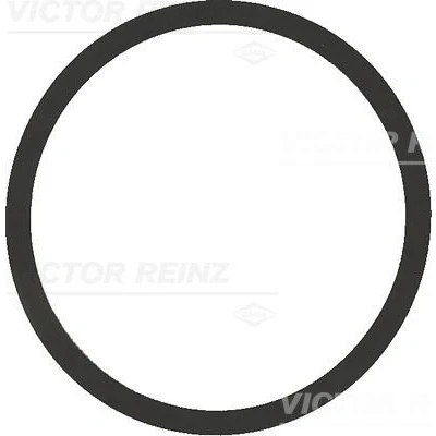 Billede af REINZ 40 77542 00 Indsugningspakning VOLKSWAGEN: Polo IV Hatchback