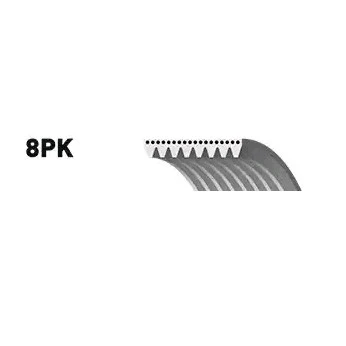 Billede af GATES 8PK1310XS Kileribberem 1310 8 Aramide, EPDM (ethyl propylen dien gummi) FleetRunner Micro V MAZDA: 6 Stationcar, 3 Sedan