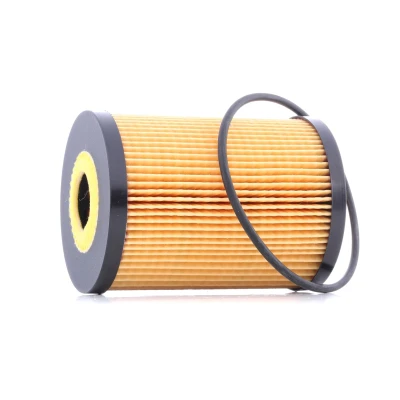 Billede af VALEO 586532 Oliefilter med pakning Filterindsats NISSAN: Patrol GR 5 SUV, TERRANO 2, RENAULT: MASTER 2 Pritsche/Fahrgestell, OPEL: Movano A Bus