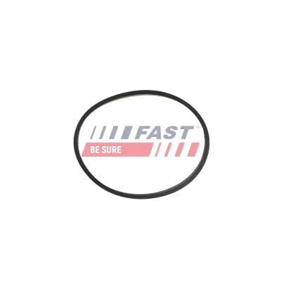 Billede af FAST FT49470 Udstødningspakning med varmeskjold FORD: FIESTA 6, FOCUS 3 Turnier,