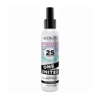 Billede af Behandling med antikruseeffekt One United Redken E38623 (150 ml)