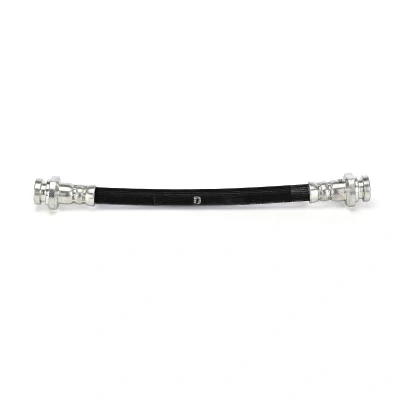 Billede af DELPHI LH8002 Bremseslange 210mm M10x1 120 SF