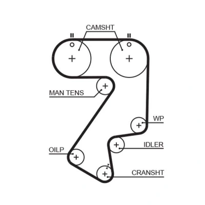Billede af GATES FleetRunner Micro V Stretch Fit 5404XS Tandrem 177 1416 25 Fiberglas, HNBR (Hydreret akryl nitril butadien gummi) TOYOTA: Celica VI Coupe