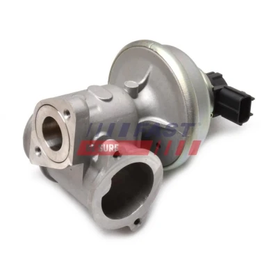 Billede af EGR ventil FAST FT60224