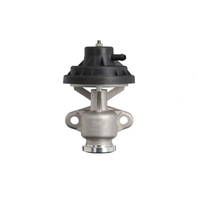 Billede af VALEO 703257 EGR ventil pneumatisk uden køler, med pakninger VOLKSWAGEN: Golf 4, Lupo / 3L, Polo IV Hatchback