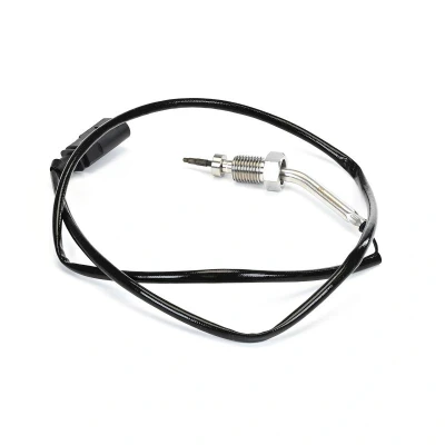 Billede af DELPHI TS30016 12B1 Sensoren VOLKSWAGEN: Polo V Hatchback, SEAT: Ibiza 4, SKODA: Fabia 2