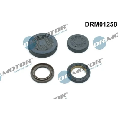 Billede af DR.MOTOR AUTOMOTIVE DRM01258 Prop, monteringsboring for vippearmsaksel RENAULT: GRAND SCENIC 2, MEGANE 2 Kombi