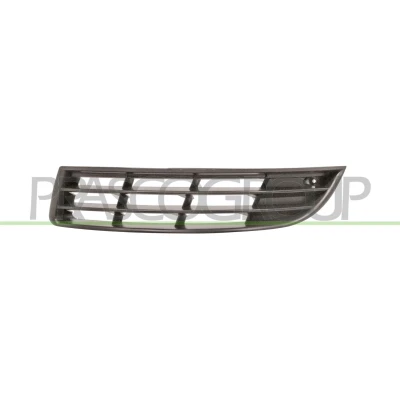 Billede af PRASCO VG0542124 Kofangergitter med hul/huller for tågelygter foran til venstre Premium VOLKSWAGEN: Passat B6 Sedan, Variant