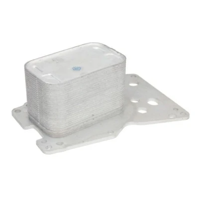 Billede af THERMOTEC D4B024TT Olieradiator BMW: 5 Touring