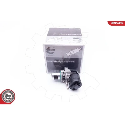 Billede af GT BERGMANN GT55 039 EGR Ventil elektrisk BMW: 3 Touring, 1 Hatchback, Sedan