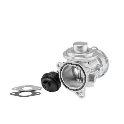 Billede af WAHLER 7372D/1 EGR Ventil pneumatisk med pakninger VOLKSWAGEN: Multivan 5 (7HM, Passat B5 GP Variant, Transporter 5, AUDI: A4 B6 Sedan, A6 C5 Avant