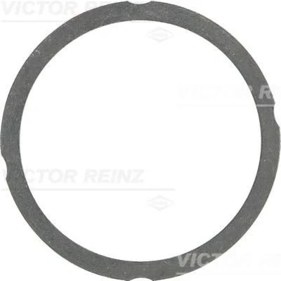 Billede af REINZ 61 25475 40 Toppakning 1,2 102,6