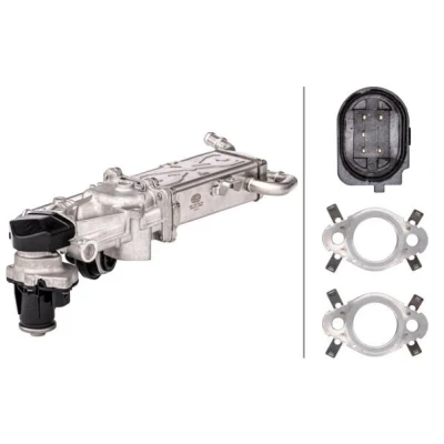 Billede af HELLA 6NU 358 167 021 EGR Modul med pakninger, køler ventil VOLKSWAGEN: Polo V Hatchback, SEAT: Ibiza 4 ST, Toledo 4,