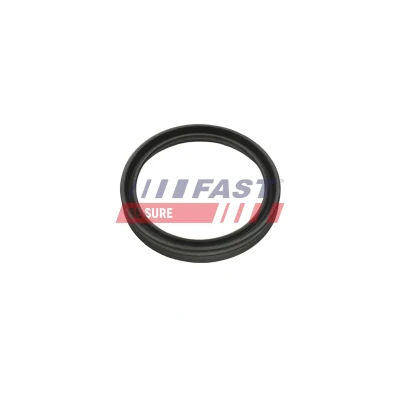 Billede af FAST FT48956 Pakningsring, turboladerslange