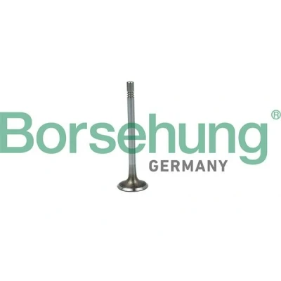 Billede af Borsehung B19020 Indsugningsventil VOLKSWAGEN: Polo V Hatchback, GOLF 6, Passat B7 Variant, SKODA: Octavia 2 Combi, II Fabia