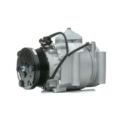 Billede af DELPHI TSP0159310 Kompressor Visteon Scroll PAG 46 med kompressorolie FORD: Focus Mk1 Hatchback, Fusion Stationcar