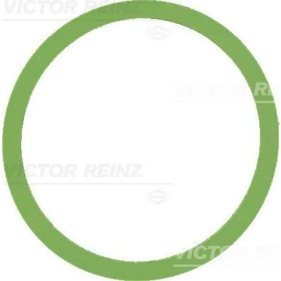 Billede af REINZ 41 77647 00 Indsugningspakning VOLKSWAGEN: Polo V Hatchback, up! Golf 7 Variant, SEAT: Leon III Ibiza 4, SKODA: Karoq SUV