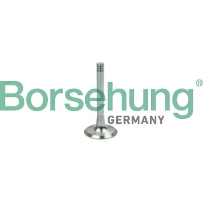 Billede af Borsehung B19002 Udstødningsventil VOLKSWAGEN: Touran I, Golf 4 Variant, Multivan 5 (7HM, SKODA: Fabia I Hatchback, 1 Combi, Octavia Combi
