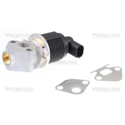 Billede af TRISCAN 8813 29009 EGR Ventil elektrisk med pakninger VOLKSWAGEN: Polo IV Hatchback, Golf 5, 4, SKODA: Octavia 2 Combi, Fabia 1 Combi