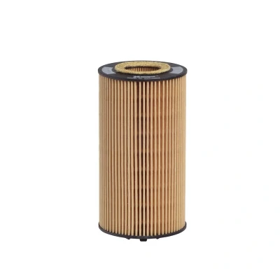 Billede af HENGST FILTER E355H01 D109 Oliefilter Filterindsats AUDI: A6 C6 Avant, A4 B7 B6 Avant
