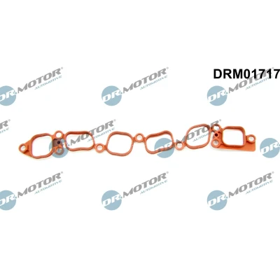 Billede af DR.MOTOR AUTOMOTIVE DRM01717 Indsugningspakning VOLKSWAGEN: Golf 4, New Beetle Hatchback, Bora Sedan, SEAT: Leon I Alhambra