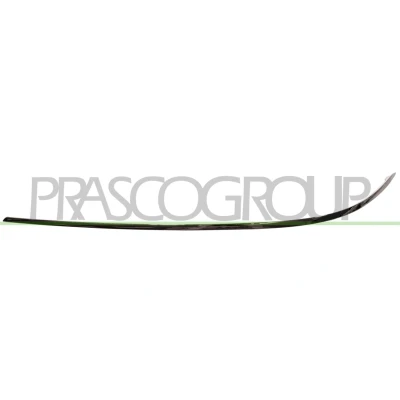 Billede af Pynte /beskyttelsesliste, kofanger PRASCO ME0431244