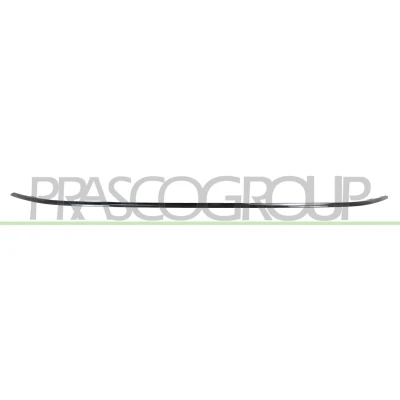 Billede af Pynte /beskyttelsesliste, kofanger PRASCO FT4501235