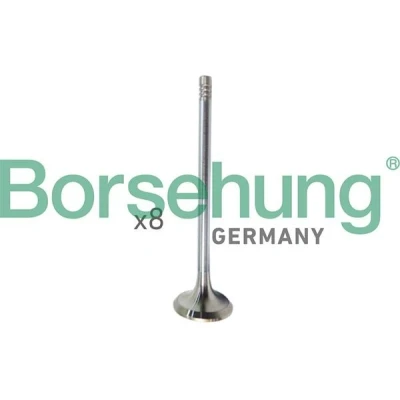 Billede af Borsehung B10322 Indsugningsventil VOLKSWAGEN: Polo V Hatchback, SEAT: Ibiza 4 ST,