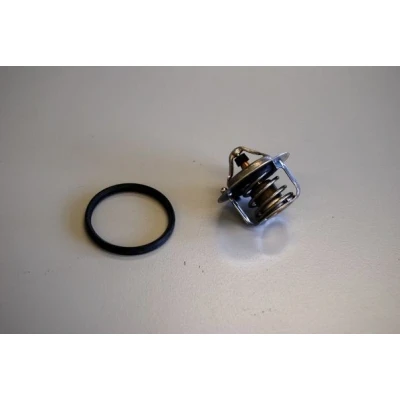Billede af WAHLER 411241.82D Termostat 82 med pakning vandpumpe RENAULT: MEGANE 3 Grandtour, Clio 3, 4, NISSAN: MICRA Qashqai / Qashqai+2 I,