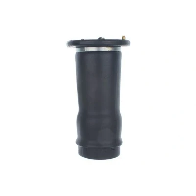 Billede af DENCKERMANN DSA122G Luftfjeder, undervogn bagaksel