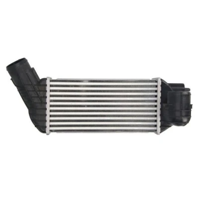 Billede af THERMOTEC DAC017TT Intercooler PEUGEOT: 5008 I