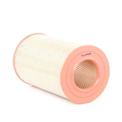Billede af Luftfilter AUTOMEGA 180029610