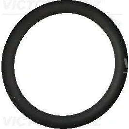 Billede af REINZ 40 76325 10 Pakningsring BMW: 3 Sedan, 5 Coupe