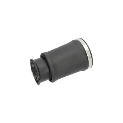 Billede af KAVO PARTS SAS 10017 Luftfjeder, undervogn Bagaksel venstre BMW: 5 Touring