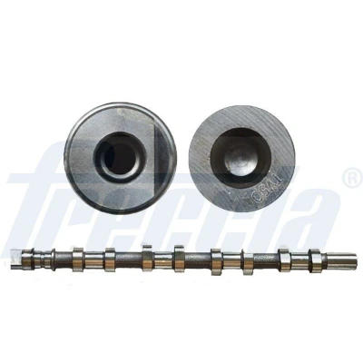 Billede af FRECCIA CM05 2165 Knastaksel Indsugningsside