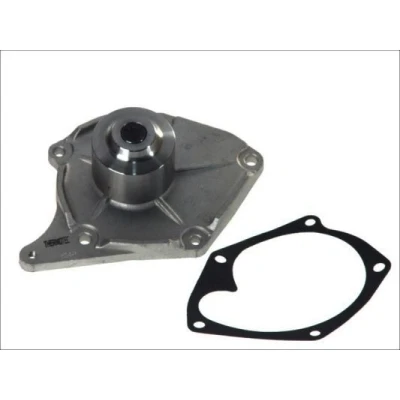 Billede af THERMOTEC D1R033TT Vandpumpe med pakning mekanisk NISSAN: Qashqai / Qashqai+2 I, Almera II Hatchback, Note RENAULT: CLIO 2, Kangoo I Express