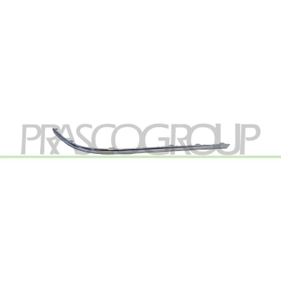 Billede af PRASCO VG0541253 Pynte /beskyttelsesliste, kofanger bagved til højre Premium VOLKSWAGEN: Passat B6 Sedan