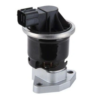 Billede af MAGNETI MARELLI 571822112115 EGR Ventil