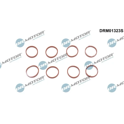 Billede af DR.MOTOR AUTOMOTIVE DRM01323S Pakningssæt, indsugningsmanifold