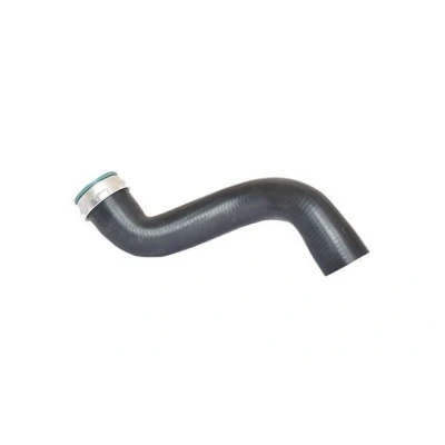 Billede af BUGIAD 82687 Trykslange 59 VOLKSWAGEN: Polo IV Hatchback, Sharan I, SEAT: Leon I Alhambra