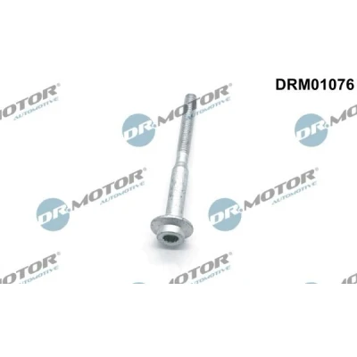 Billede af DR.MOTOR AUTOMOTIVE DRM01076 Skrue, indsprøjtningsdyseholder VOLKSWAGEN: Polo V Hatchback, Touran I, Passat B6 Variant, SKODA: Fabia 2