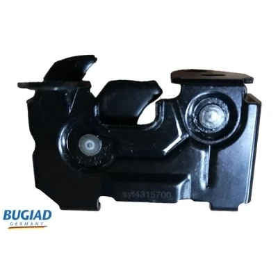Billede af BUGIAD 82608 Trykslange 63 AUDI: A4 B6 Avant, A6 C5 Avant